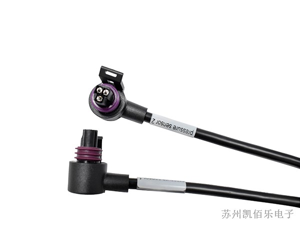 德尔福线束 德尔福线束