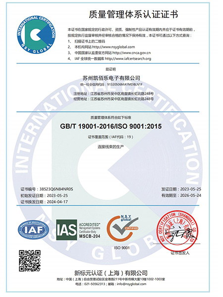 ISO 9001 -中文证书