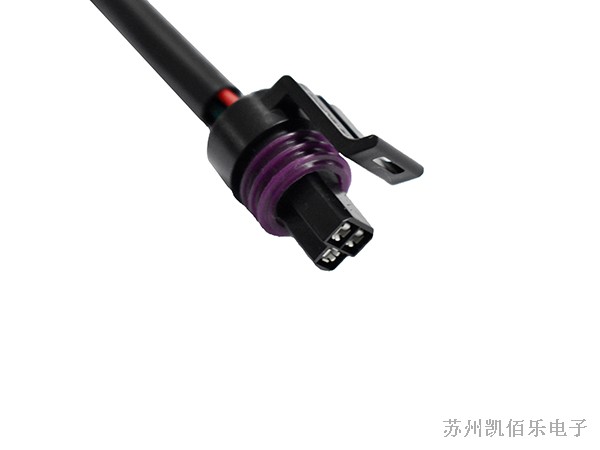 德尔福线束